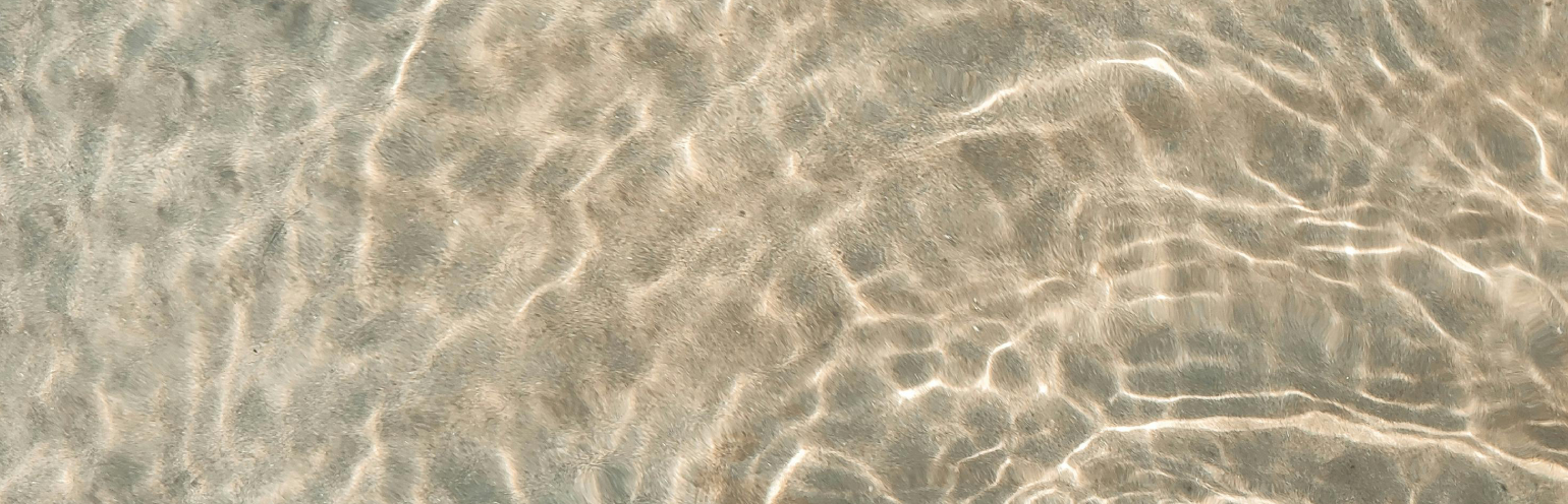 Photography & Global Listing